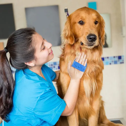 Vista 7 de Cepillo para aseo de perros, cepillo de baño con champú para mascotas Lilpep, masaje relajante, peine de goma con mango de anillo ajustable para Azul