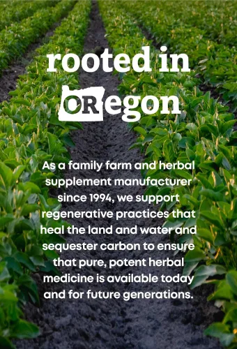 Vista 4 de Oregon's Wild Harvest Cápsulas de ginseng americano sin OMG, 50