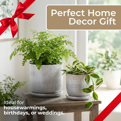 Vista 7 de Macetas de cerámica texturizada con platillo para decoración del hogar, macetas modernas y macetas para plantas de jardín, macetas elegantes