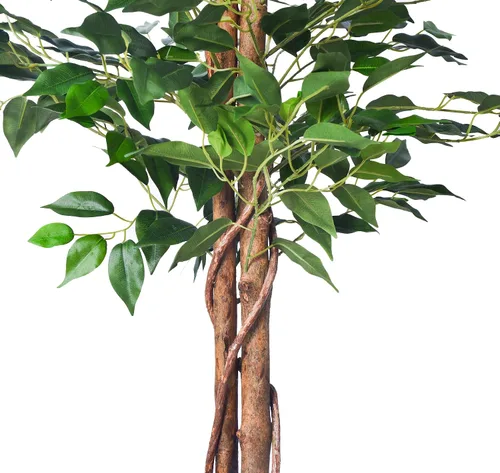 Vista 3 de HAIHONG Árbol de Ficus Artificial de 5 Pies, Plantas de Seda Artificial con Maceta de Vivero de Plástico Resistente, Árboles de Ficus Artificiales