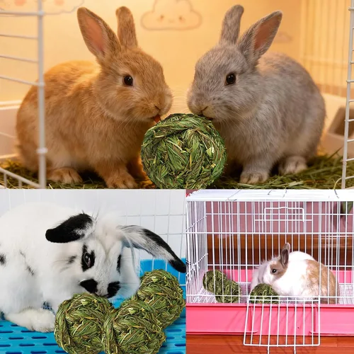 Vista 2 de PINVNBY 2 bolas de heno Timothy de conejo, juguetes naturales para masticar, bola de hierba, dientes de animales pequeños, bola de juego tejida