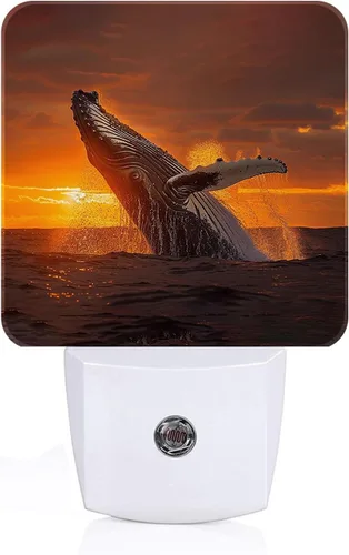 Vista 15 de Luz nocturna de varios hongos, enchufa a la pared con sensores de luz del atardecer al amanecer, luces nocturnas cálidas para dormitorio, baño