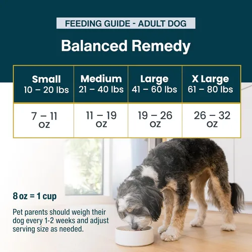Vista 9 de JustFoodForDogs Pantry Fresh - Alimento húmedo para perros, comida completa o alimento para perros, para estómagos sensibles, remedio equilibrado