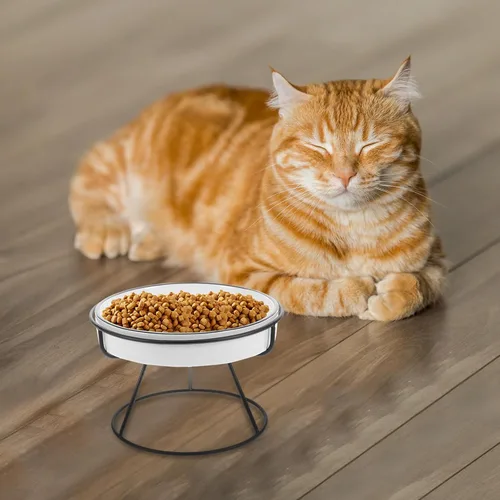 Vista 7 de Ceramic Cat Bowl Elevated Slow Feeder with Iron Stand