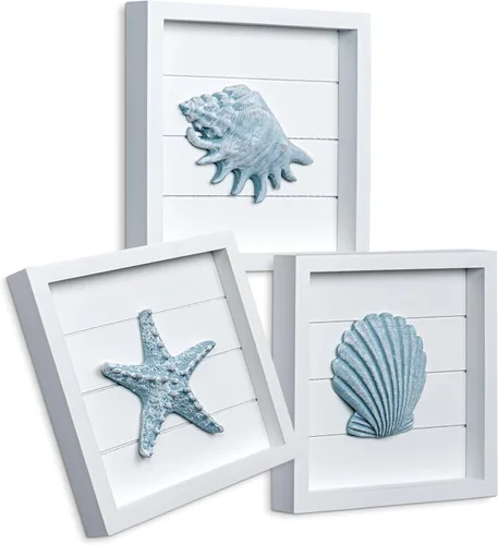 Vista 11 de TideAndTales - Decoración de playa de conchas marinas (juego de 4) conchas 3D texturizadas y decoraciones de estrellas de mar para el hogar o casa