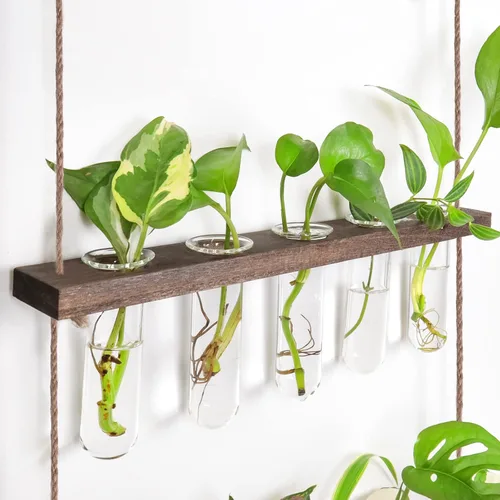 Vista 8 de Estación de propagación, terrario de plantas, regalos para amantes de las plantas para mujeres, soporte para cortar plantas, decoración del hogar