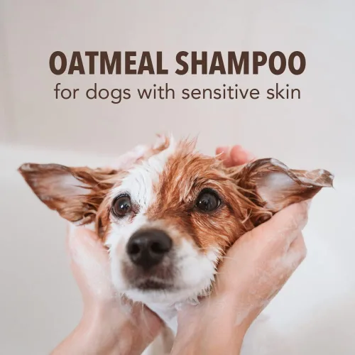 Vista 4 de Sergeant's Fur-So-Fresh - Champú de avena para el aseo de perros, 18 onzas Ideal para pieles sensibles, aroma a leche y miel, producto de baño