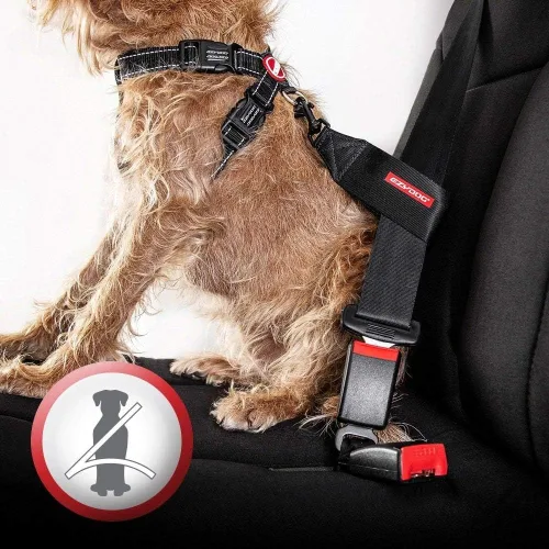 Vista 2 de EzyDog Arnés para perro sin tirones con placa de pecho – Arnés a prueba de escape con costuras reflectantes y acolchado cómodo para paseos fáciles