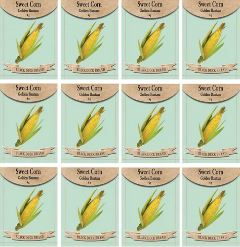 Vista 5 de Juego de 12 paquetes de semillas de verduras de roqueta de rúcula, crea un jardín de lujo, todas las semillas son reliquias, 100% sin OMG