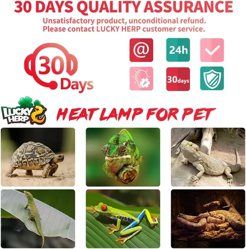 Vista 7 de LUCKY HERP Lámpara de Calor Infrarroja 50W Paquete de 2, Bombillas de Luz de Punto de Sol para Reptiles y Anfibios, Bombillas de Lámpara de Calor