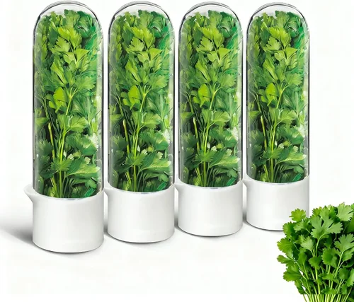 Vista 10 de Conservador de hierbas para refrigerador, protector de hierbas para refrigerador, botella de conservación de verduras para cilantro, menta, perejil