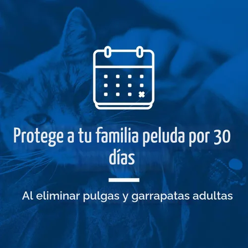 Vista 3 de PetArmor Perros tópicos de pulgas y garrapatas de 5 a 22 libras, Fipronil, 6 meses