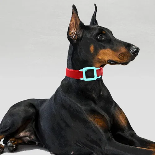 Vista 4 de Paquete de 2 fundas para mascotas para Tile Pro, soporte para buscador de artículos para Tile Pro Tracker, accesorio de silicona para collar