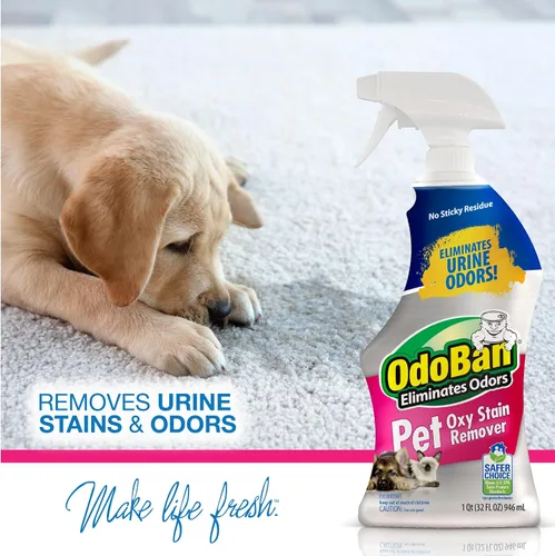 Vista 16 de OdoBan Pet Solutions Oxy - Removedor de manchas, fabricado en los Estados Unidos, paquete de 2, aerosoles de 32 onzas cada uno, y concentrado