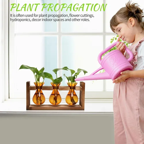 Vista 4 de Estación de Propagación de Plantas Terrario de Plantas Regalos Únicos de Cumpleaños para Mujeres Decoración para Hogar y Oficina Maceta con Soporte
