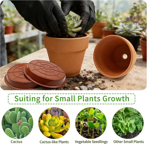 Vista 5 de Paquete de 6 macetas de terracota y arcilla de 6 pulgadas con platillo para plantas, macetas de arcilla transpirable, maceta de terracota
