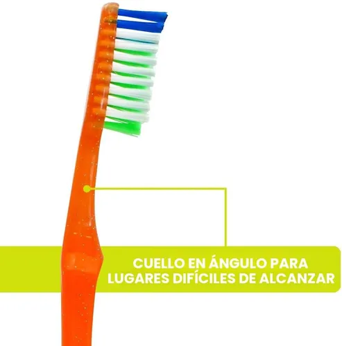 Vista 6 de Reach Crystal Clean - Cepillo de dientes con cerdas firmes, 1 unidad, paquete de 6 Cuello en ángulo, cerdas de dos niveles, limpieza de línea