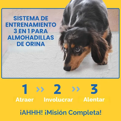 Vista 6 de OUT! Petcare Almohadillas para cachorros XXL, resistentes, a prueba de fugas para orina de perros, entrenamiento para ir al baño y deshabituación