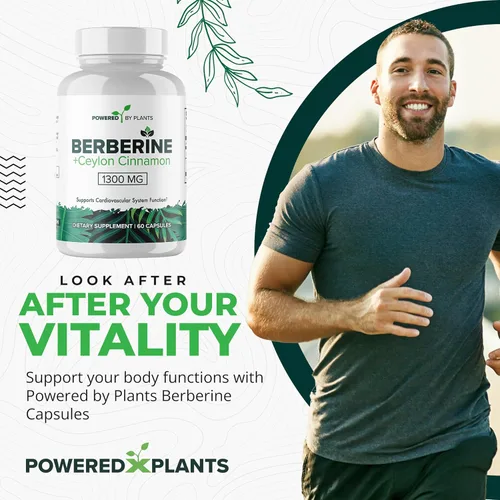 Vista 2 de Suplemento de berberina pura, 1300 mg de berberina con canela de Ceilán para el metabolismo y el apoyo del sistema inmunológico, 1 paquete de 180
