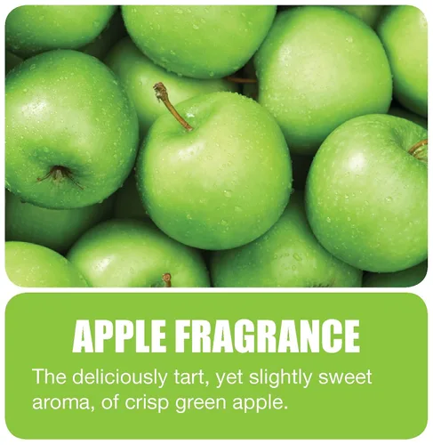 Vista 2 de Big D 467 Desodorante concentrado para dispensadores de aerosol medidor, fragancia de manzana, 7 onzas (paquete de 12) – Ambientador ideal
