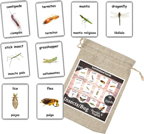 Vista 6 de Tarjetas didácticas bilingües en español inglés Tarjetas flash laminadas Elige tu conjunto (objetos del alfabeto)