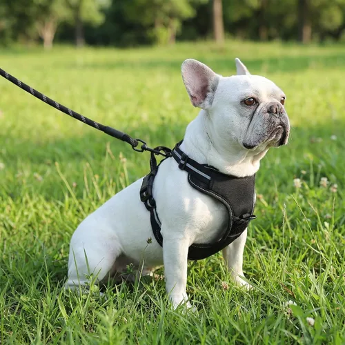 Vista 6 de Amazon Basics Arnés para perro sin tirones, chaleco ajustable acolchado suave con rayas reflectantes, resistente, pequeño, negro