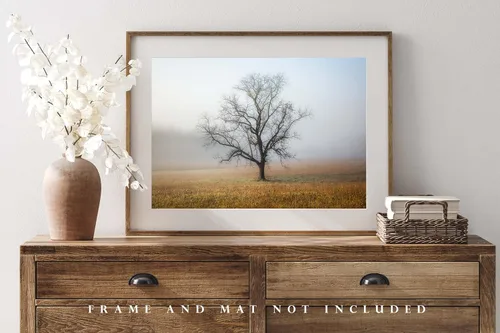 Vista 4 de Impresión de fotografía de naturaleza (no enmarcada), imagen de árbol envuelto en la niebla en la mañana de otoño en grandes montañas ahumadas
