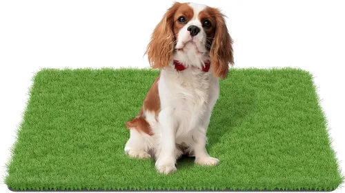 Vista 12 de MAYSHINE Césped artificial para perros, césped artificial para interiores y exteriores, tapete para perros con cuchillas suaves, césped artificial