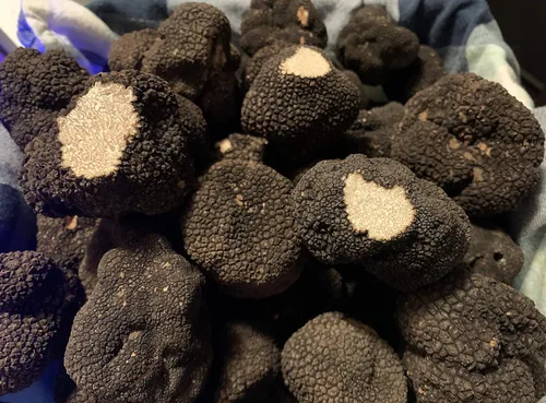 Vista 9 de Trufas frescas de verano negras (Tuber Aestivum) 4 oz (112 gr) y mantequilla de trufa blanca TASTE OF TRUFFLES