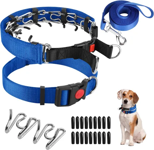 Vista 19 de Collar de entrenamiento de puntas con puntas cómodas y hebilla de cierre rápido – Collar de pellizco para perro con cubierta de nailon
