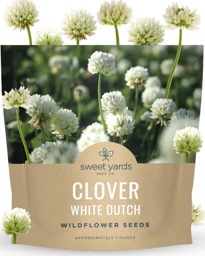Vista 11 de Trébol holandés blanco, bolsa a granel de 1 libra, 600.000 semillas de flores para plantar - Trifolium repens