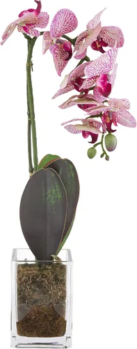 Vista 4 de Nearly Natural Arreglo de orquídeas falaenopsis artificiales de 20 pulgadas Rosa