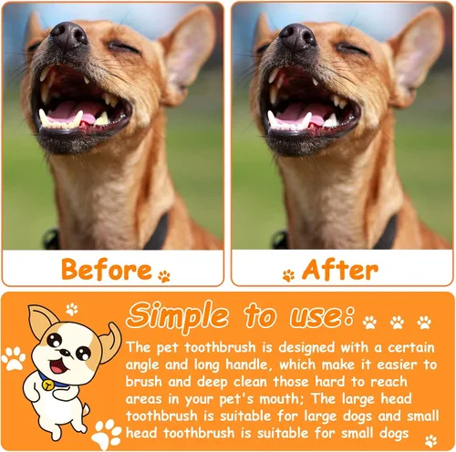 Vista 6 de Honeydak Cepillo de dientes para perros, cepillos dentales de doble cabeza, kit de cepillado de dientes para perros, cepillo de dientes de mango