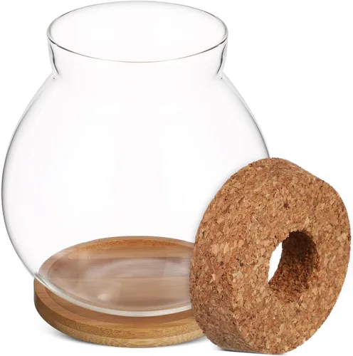 Vista 9 de Balacoo Pescadera hidropónica de escritorio, pecera de vidrio transparente con cojín de bambú y tapa de madera, pequeñas plantas de peces betta
