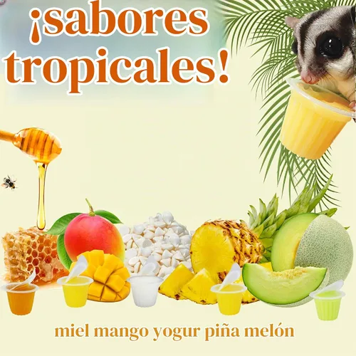 Vista 6 de Cápsulas de néctar (paquete de 4 variedades) – Golosinas de frutas fortificadas con calcio – Planeadores de azúcar, titíes, ardillas, loros