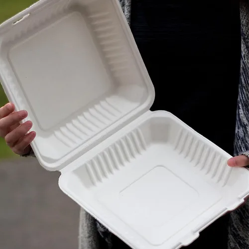 Vista 5 de Contenedores biodegradables para llevar de 9 pulgadas, paquete de 100, cajas compostables para llevar con tapa con bisagras integrada
