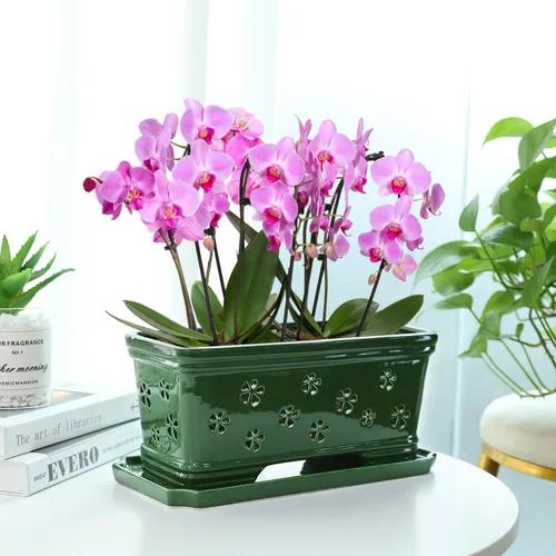 Vista 3 de Maceta de orquídea de cerámica verde de 12 pulgadas con agujeros para trasplante y ventilación, interior o exterior