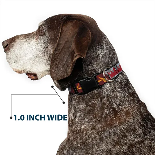 Vista 6 de Warner Bros. Collar para mascotas, collar de perro, hebilla de plástico, corona de bola de Quiditch de Harry Potter Gryffindor, oro rojo, gris, 9.5