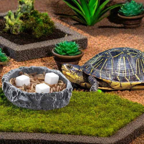 Vista 3 de DQITJ 18 piezas de piedra de calcio para reptiles pequeños, minerales de calcio natural para reptiles, tortuga, tortuga, lagarto, rana, camaleón