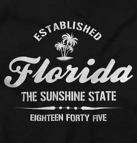 Vista 2 de Classic Teaze Sudadera con capucha Florida the Sunshine State Souvenir Mujer Hombre
