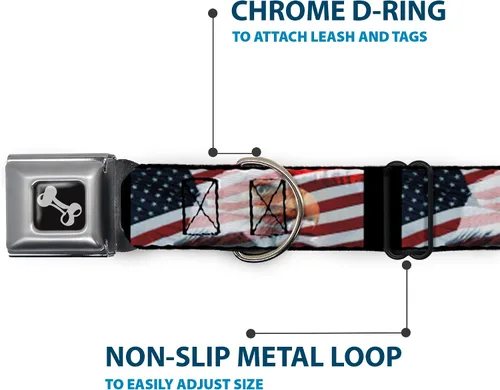Vista 5 de Bandera de Estados Unidos diseño de estrellas y rayas Eagle Diversión Animal Cinturón de Seguridad Pet Collar, Multicolor