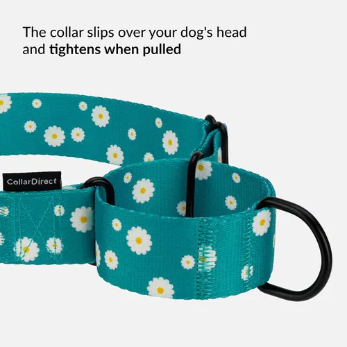Vista 3 de CollarDirect Martingale - Collar de nailon resistente para perros pequeños, medianos y grandes [nailon, estampado, aguamarina, L, 15-20 pulgadas)