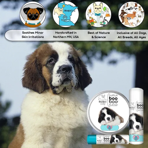 Vista 5 de The Blissful Dog 1 oz TIN St. Bernard Booboo Mantequilla