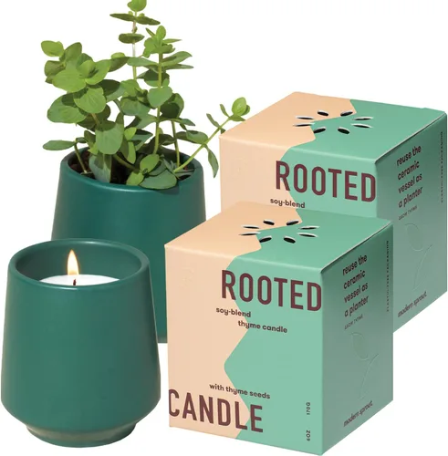 Vista 12 de Modern Sprout Rooted Candle - Vela perfumada de madera de cedro 2 en 1 y soja con semillas que crece en planta de lavanda, 6 onzas con 42 horas