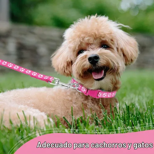 Vista 6 de BOUMUSOE Juego de 2 collares y correas para perro, collar para cachorro y correa con hebilla de liberación rápida, collar ajustable con estampado
