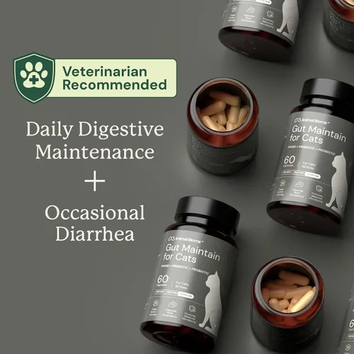Vista 7 de AnimalBiome NEW Gut Maintain Multi-Strain Probiotics for Cats (30 Capsules) – Triple-Action Phage, Prebiotics & Probiotic Cat Supplements for