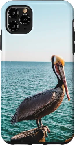 Vista 12 de iPhone 11 Pelican Case