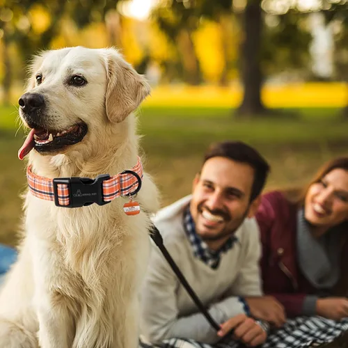 Vista 137 de Aring Pet Collar de algodón, ligero y ajustable, con hebilla de liberación rápida, para perros pequeños, medianos y grandes, para cachorros, S, Hoja
