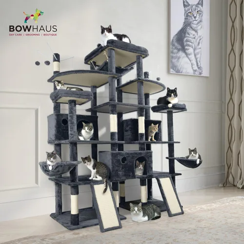 Vista 6 de BOWHAUS Árbol para gatos extra grande de 80 pulgadas de alto con percha ampliada para gatos grandes, torre para gatos grandes en interiores, moderna