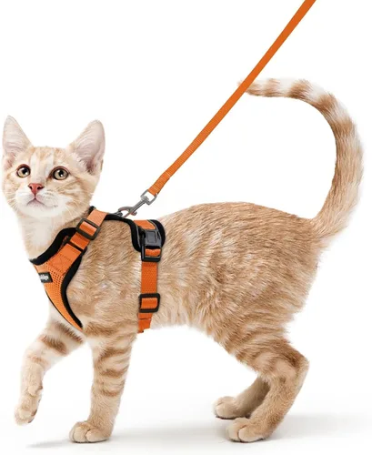 Vista 70 de rabbitgoo Cat Harness and Leash Set, Escape Proof Vest, XXS, Berry Pounce Soft Breathable Mesh, No-choke Adjustable Fit, Snap Buckles, Sturdy